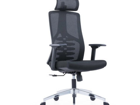 Chromix Ergonomic Chair