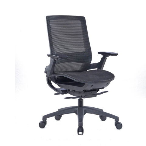 Eva Task Chair with 3D armrest & 4 Position Lock