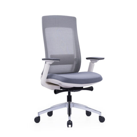 Exotic White Frame Office Chair