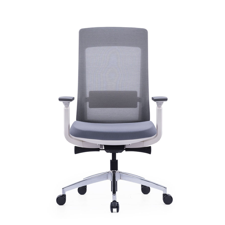 Exotic White Frame Office Chair