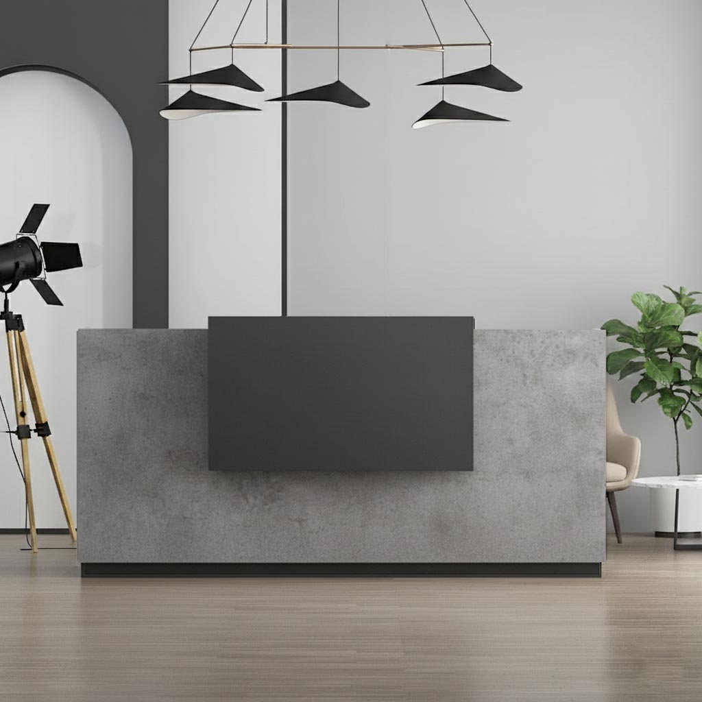 Modern concrete Front Counter